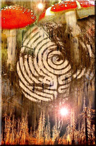 Helabyrinth